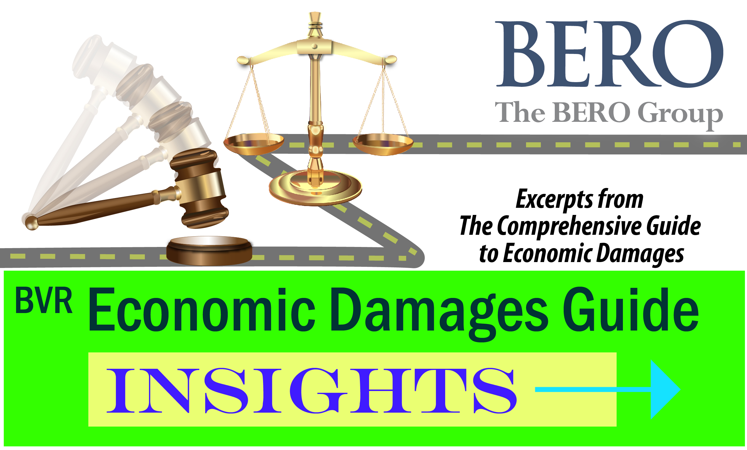 BVR Damages Guide Insights